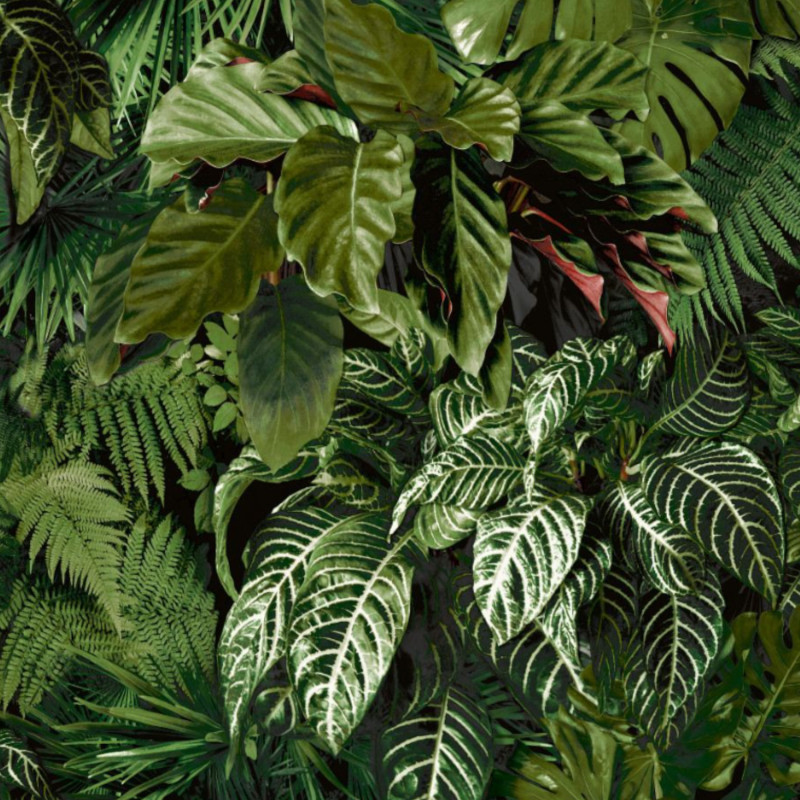 Papier peint Motif feuille tropical - CIARA - Grandeco Life - A58601
