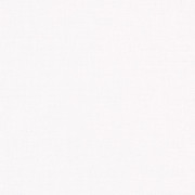 Papier Peint intissé Hugge uni gris argenté - GREEN & CO - Caselio - GCO100601010