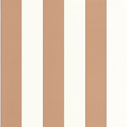 Papier Peint intissé Moonlight golden lines cuivre - MOONLIGHT 2 - Caselio - MLGT101074044