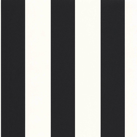 Papier Peint intissé Wide Lines noir - MOONLIGHT 2 - Caselio - MLGT104029290