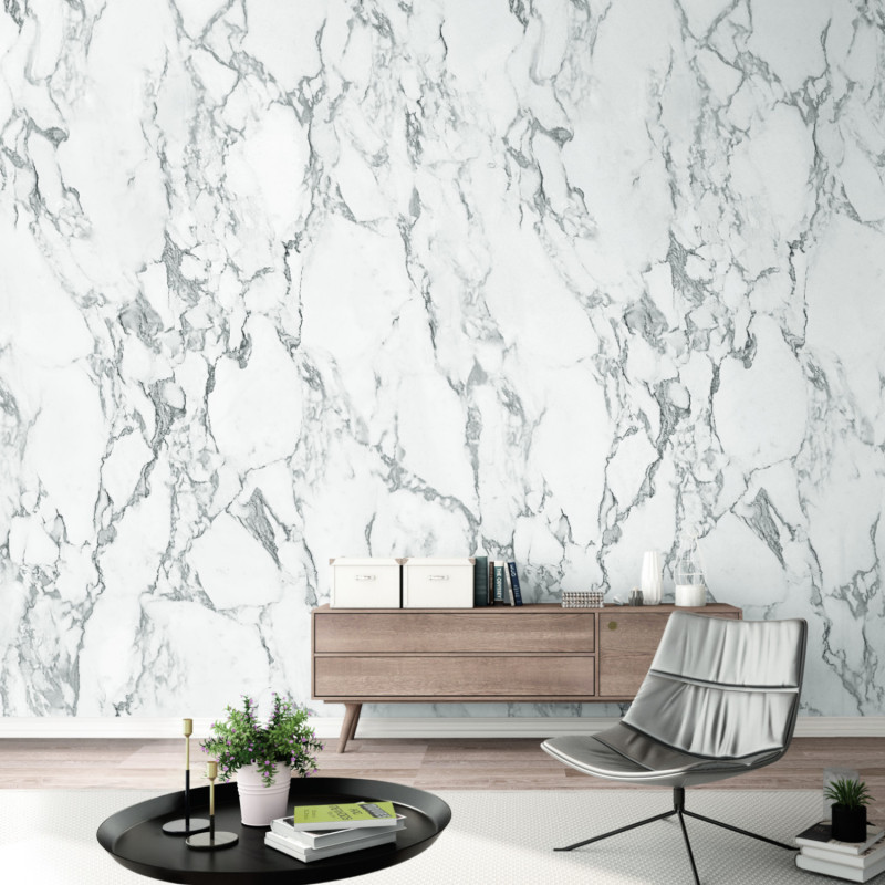 Panoramique Marbre noir et blanc - COLLECTOR - Grandeco - A52501