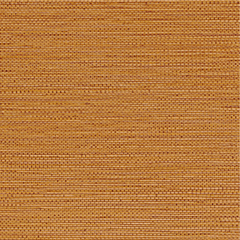 Papier peint Zostera terre de sienne - GOLFE DU BENGALE - Casamance - 75972038