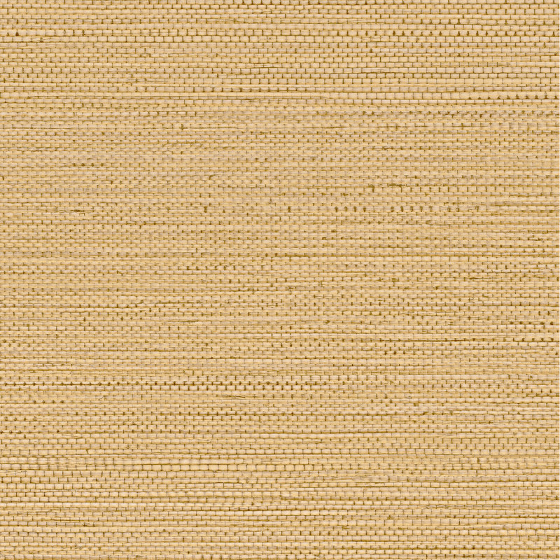 Papier peint Zostera paille - GOLFE DU BENGALE - Casamance - 75971936