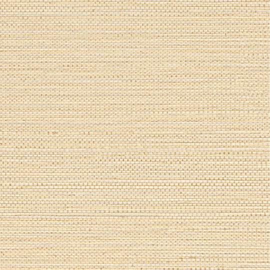Papier peint Zostera coquille - GOLFE DU BENGALE - Casamance - 75971834