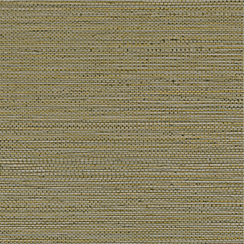 Papier peint Zostera kaki - GOLFE DU BENGALE - Casamance - 75972242