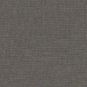 Papier Peint vinyle sur intissé Uni métalisé noir doré - XXL - Caselio - XXL103239022