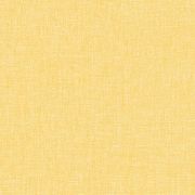 Papier Peint vinyle sur intissé Uni orange moyen - XXL - Caselio - XXL68523115