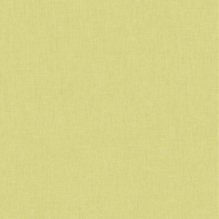 Papier Peint vinyle sur intissé Uni vert anis moyen - XXL - Caselio - XXL68527163