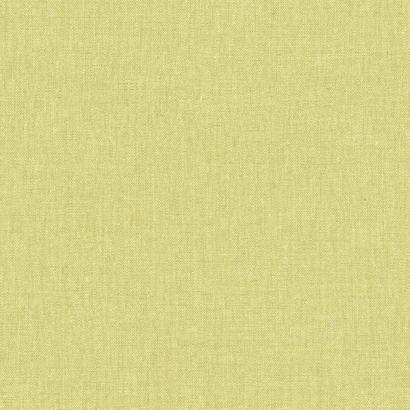 Papier Peint vinyle sur intissé Uni vert anis moyen - XXL - Caselio - XXL68527163