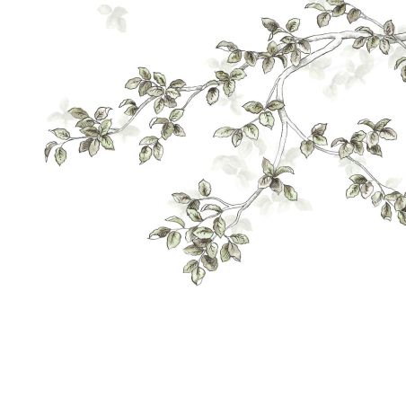 Panoramique intissé calming leaves vert lichen - 300x250cm - WONDERWALLS - Casadeco - WDWS89137507