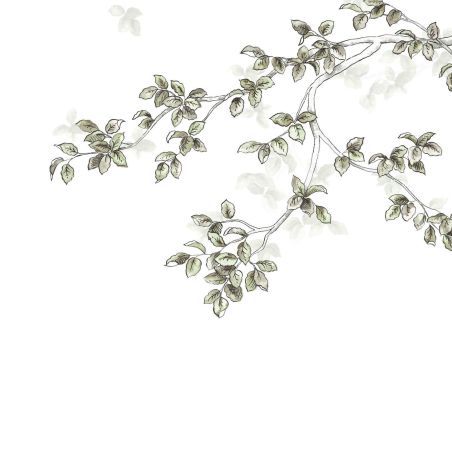 Panoramique intissé calming leaves vert lichen - 300x310cm - WONDERWALLS - Casadeco - WDWS89137509