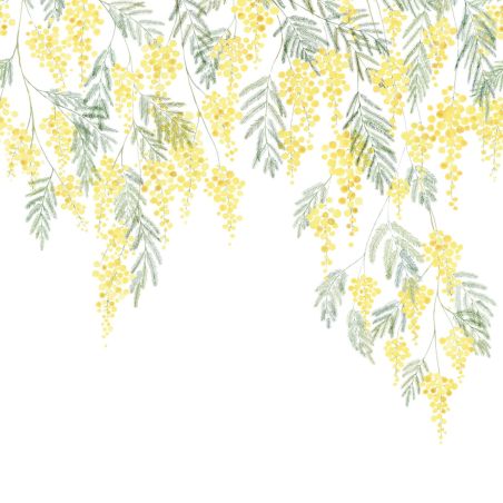 Panoramique intissé mimosa bouton d'or - 200X280cm - WONDERWALLS - Casadeco - WDWS89172203