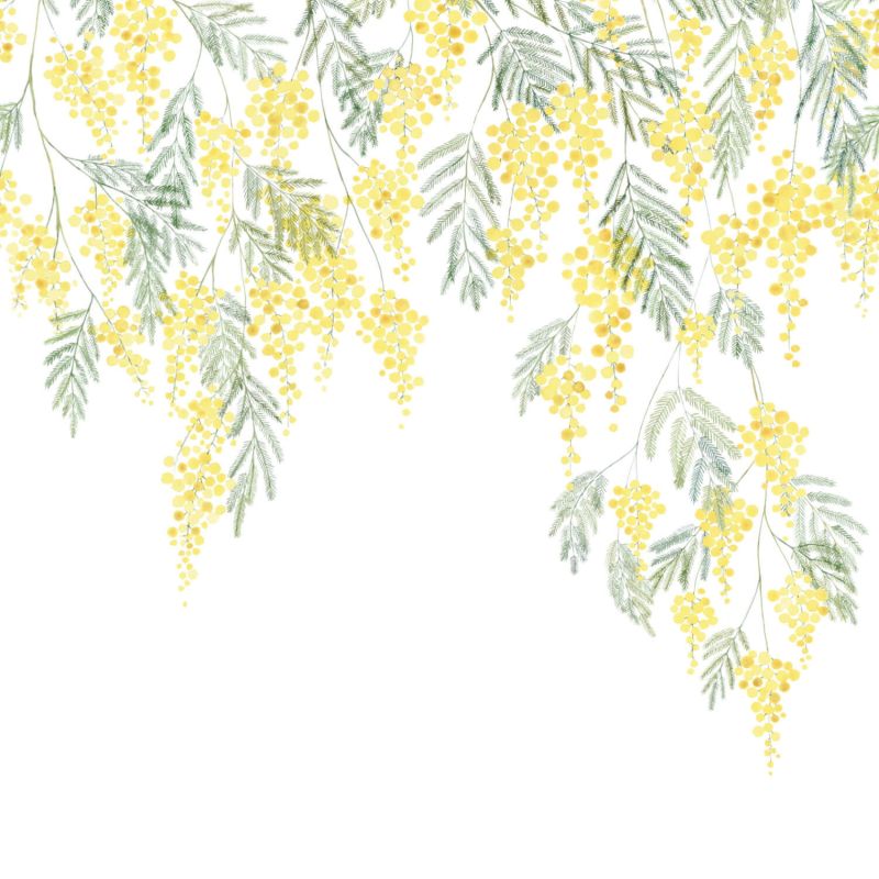 Panoramique intissé mimosa bouton d'or - 200x310cm - WONDERWALLS - Casadeco - WDWS89172204