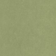 Papier peint Cotton Touch vert cactus - FLOWER MARKET - Casadeco - FLOM82387512