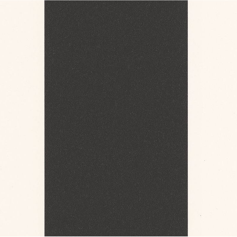 Papier peint Day And Night Noir Blanc -MOONLIGHT- Caselio MLG101189001