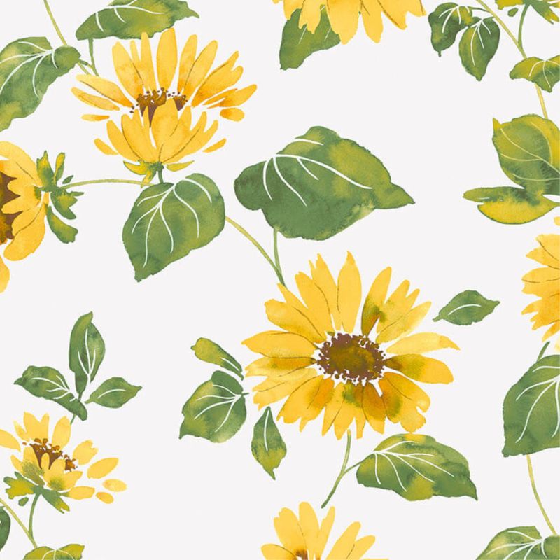 Papier Peint Tournesol jaune et blanc - CUISINE FRAICHEUR - LUTÈCE - G45458