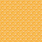 Papier Peint Rondelle d'Orange - CUISINE FRAICHEUR - LUTÈCE - G45439