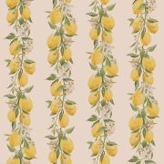 Papier Peint Rayure citron et fleur fond beige - CUISINE FRAICHEUR - LUTÈCE - G45440