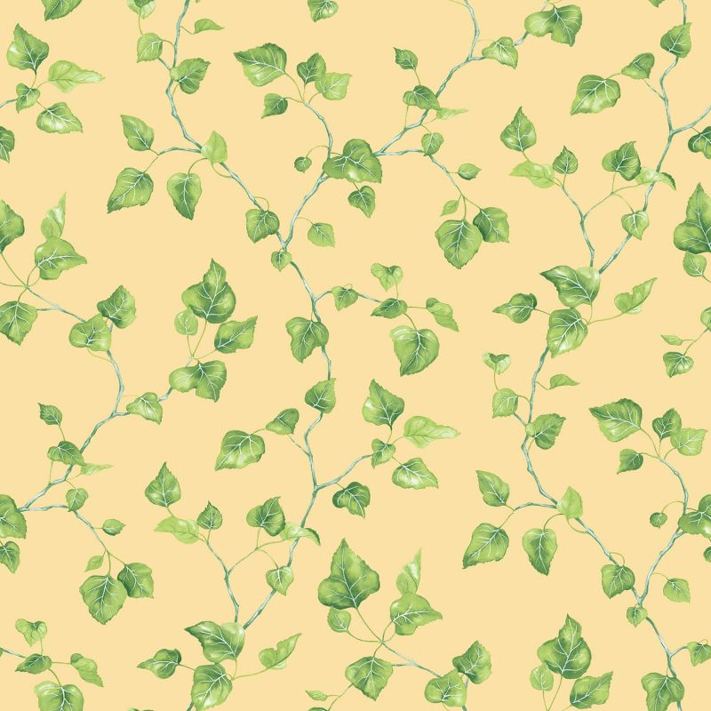 Papier Peint Lierre Grimpant vert et jaune - CUISINE FRAICHEUR - LUTÈCE - G45430