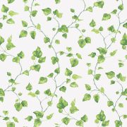 Papier Peint Lierre Grimpant vert et blanc - CUISINE FRAICHEUR - LUTÈCE - G45431