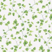 Papier Peint Lierre Grimpant vert et blanc - CUISINE FRAICHEUR - LUTÈCE - G45431