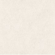 Papier peint intissé Peau de Gazelle crème - African Queen - Rasch - 423204