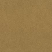 Papier peint intissé Peau de Gazelle or - African Queen - Rasch - 751031