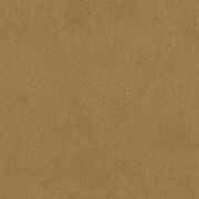 Papier peint intissé Peau de Gazelle or - African Queen - Rasch - 751031