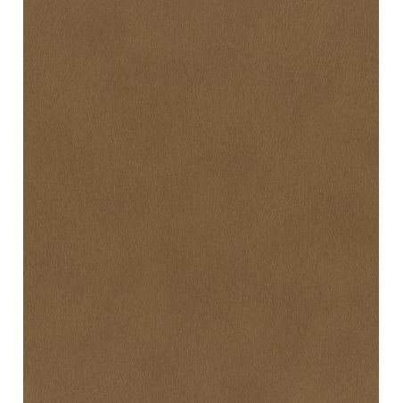 Papier peint intissé Peau de Gazelle brun ambré - African Queen - Rasch - 751079