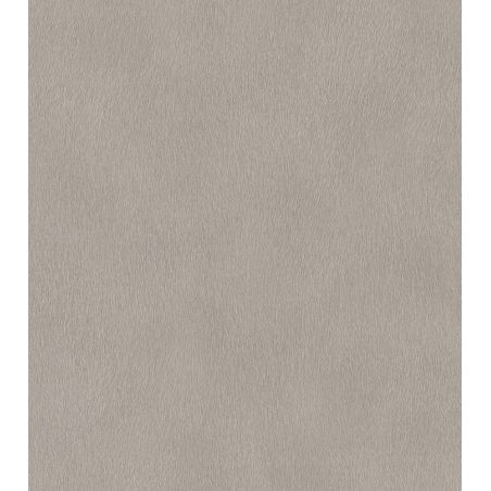 Papier peint intissé Peau de Gazelle gris - African Queen - Rasch - 751062