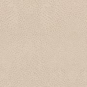 Papier peint intissé Peau d'Autruche beige - African Queen - Rasch - 751512