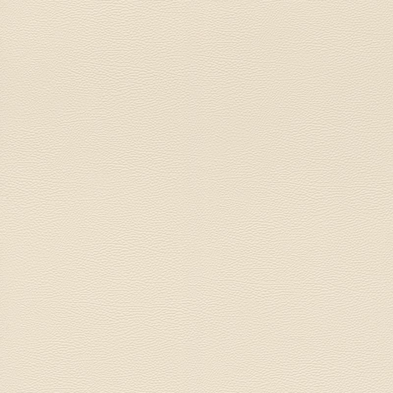 Papier peint intissé Peau d'Éléphant beige - African Queen - Rasch - 752625