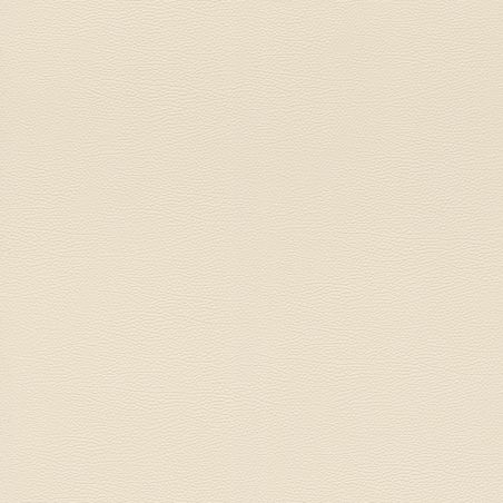 Papier peint intissé Peau d'Éléphant beige - African Queen - Rasch - 752625