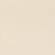 Papier peint intissé Peau d'Éléphant beige - African Queen - Rasch - 752625