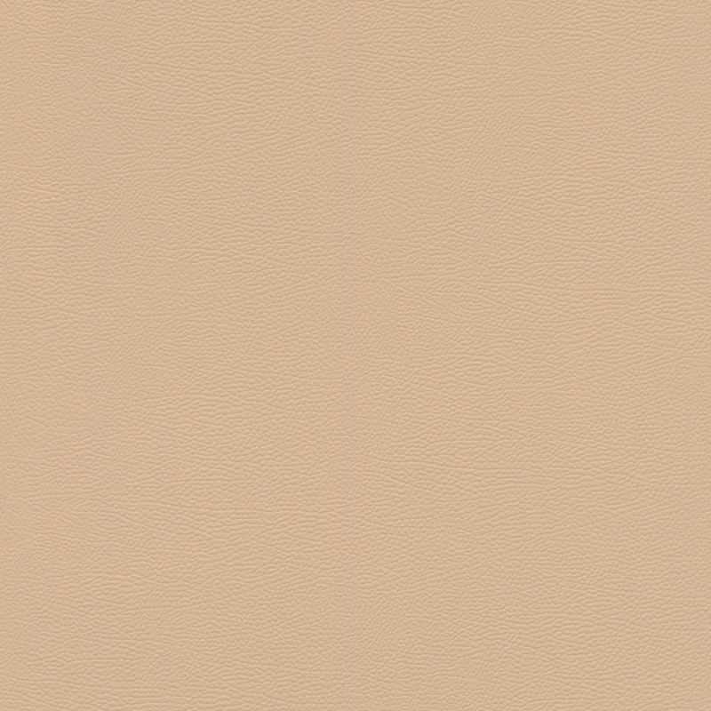Papier peint intissé Peau d'Éléphant beige clair - African Queen - Rasch - 752694