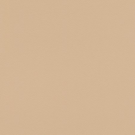 Papier peint intissé Peau d'Éléphant beige clair - African Queen - Rasch - 752694