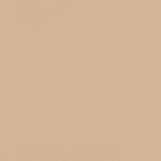 Papier peint intissé Peau d'Éléphant beige clair - African Queen - Rasch - 752694