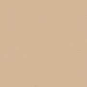 Papier peint intissé Peau d'Éléphant beige clair - African Queen - Rasch - 752694