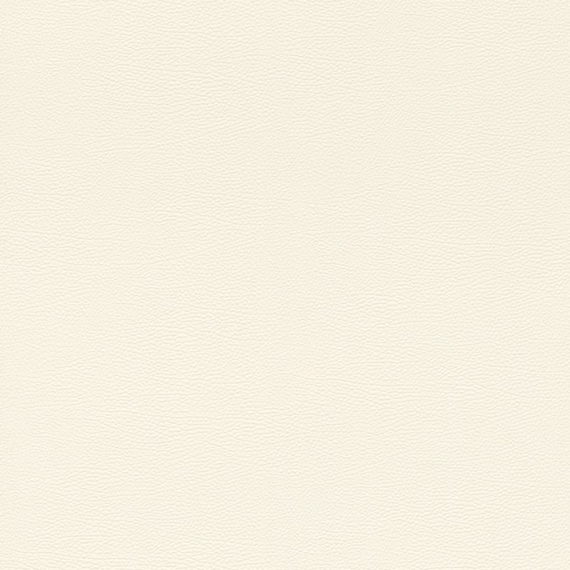 Papier peint intissé Peau d'Éléphant blanc - African Queen - Rasch - 752632