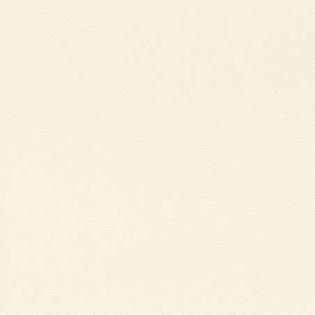 Papier peint intissé Peau d'Éléphant blanc - African Queen - Rasch - 752632