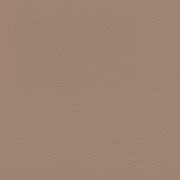 Papier peint intissé Peau d'Éléphant brun - African Queen - Rasch - 752724