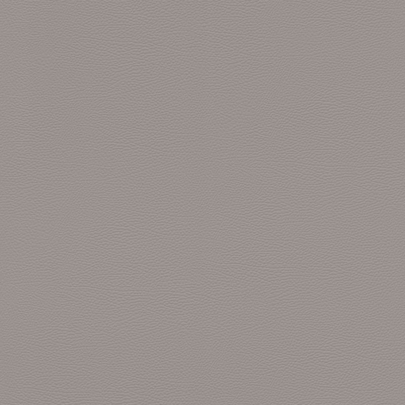Papier peint intissé Peau d'Éléphant gris - African Queen - Rasch - 752649