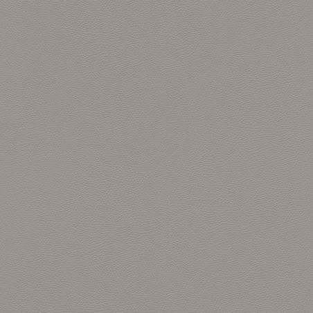 Papier peint intissé Peau d'Éléphant gris - African Queen - Rasch - 752649