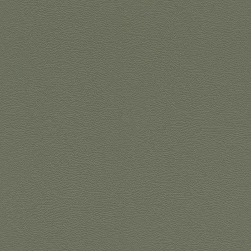 Papier peint intissé Peau d'Éléphant vert kaki - African Queen - Rasch - 752687