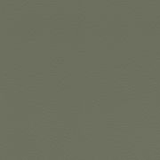 Papier peint intissé Peau d'Éléphant vert kaki - African Queen - Rasch - 752687