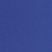 Papier Peint vinyle sur intissé Uni bleu électrique bleu Majorelle - Outlines - Caselio - OTLS64526445