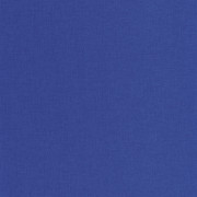 Papier Peint vinyle sur intissé Uni bleu électrique - Outlines - Caselio - OTLS64526445