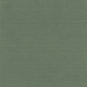 Papier peint intissé Uni effet vert sauge - Lutèce - 51233114
