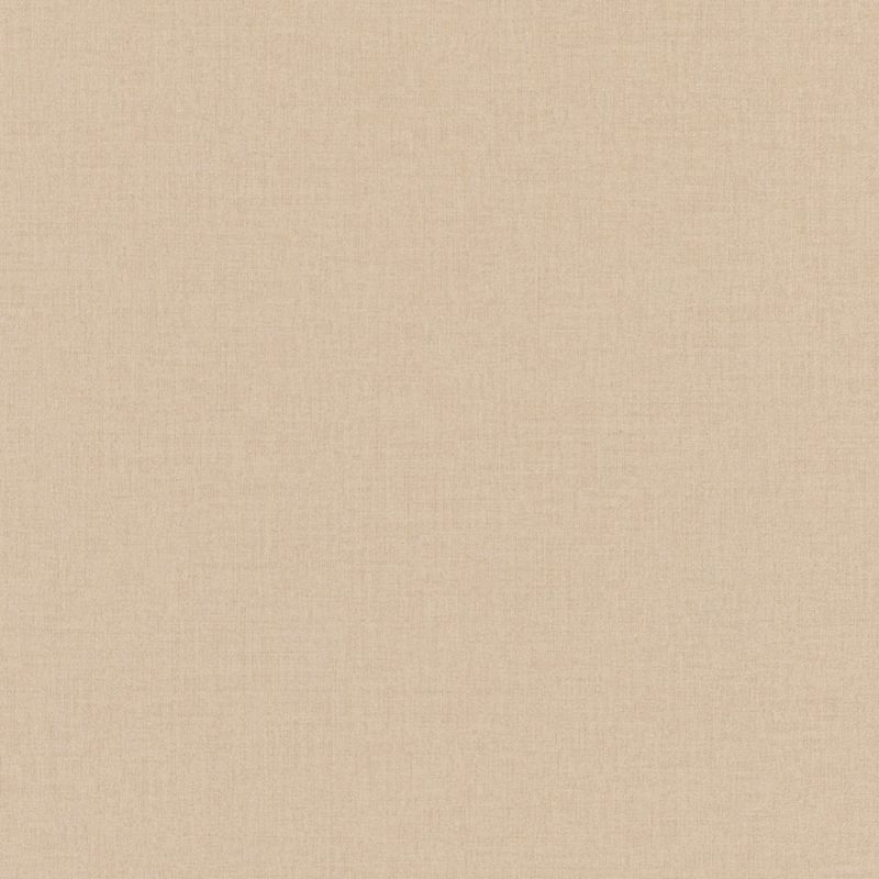 Papier peint intissé Uni taupe - OUTLINES - Caselio - OTLS64522412