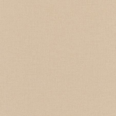 Papier peint intissé Uni taupe - OUTLINES - Caselio - OTLS64522412